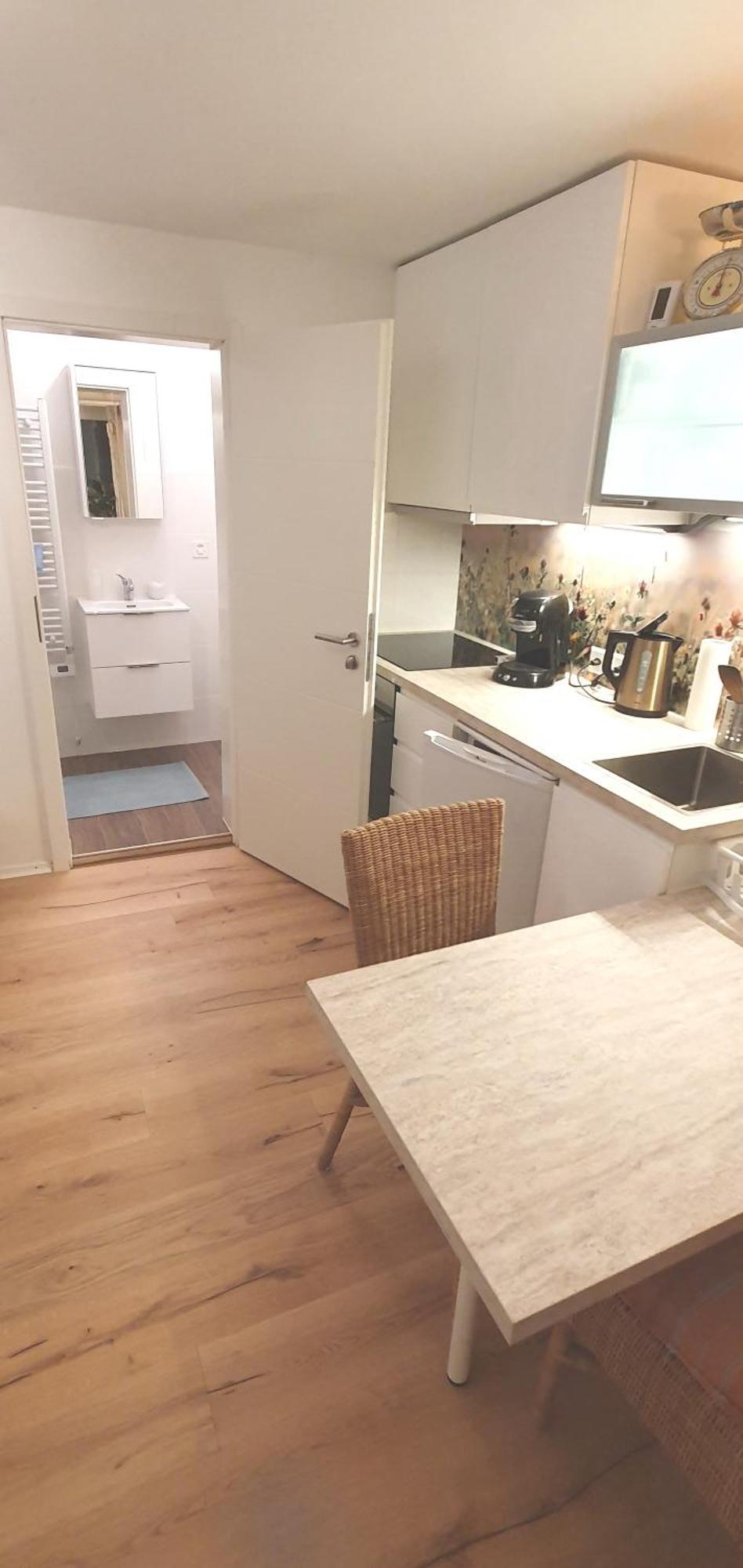 Stilvoll Gertrud Schloessli 1 Zi Studio St. Gallen Bagian luar foto